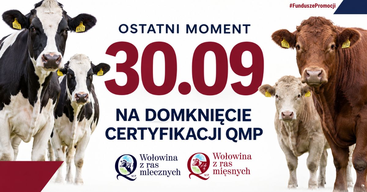 Certyfikat QMP — termin uzyskania upływa 30 września 2026 r.